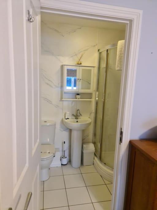 City Centre Top Floor Apartment In Belfast City Centre Екстер'єр фото